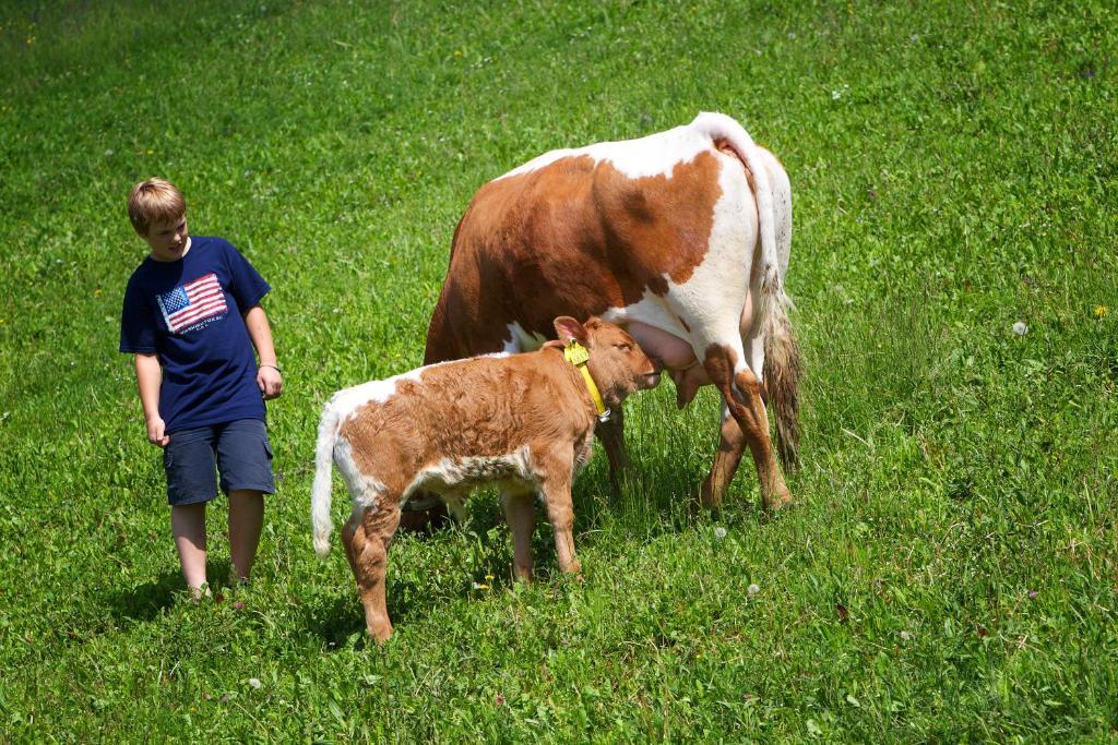 Farm Stay Pirc Laško Esterno foto